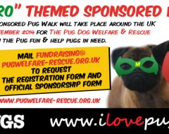 “Superhero” Themed Sponsored Pug Walk