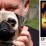 Robin Williams – A great man and pug lover