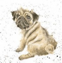 Painted Effect Pug Blank Postcard For All Occasions