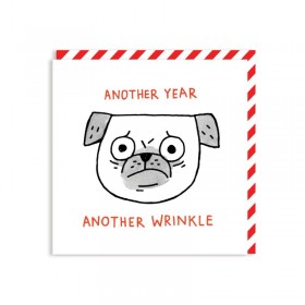 Another Year Another Wrinkle Card By Gemma Correll