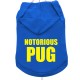 NOTORIOUS PUG BRIGHT BLUE