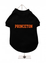 Princeton Unisex Hoodie (Available in 2 colours )