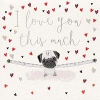 I Love You This Much Pug Valentines Day Card