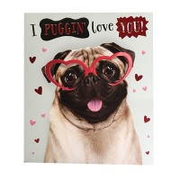 Cute Pug  Valentines Card