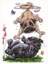 Crazy Pugs Blank Card For All Occasions