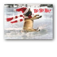 Funny Pug Christmas Card