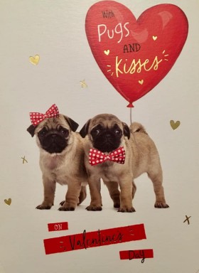 Cute Pug Valentines Day Card