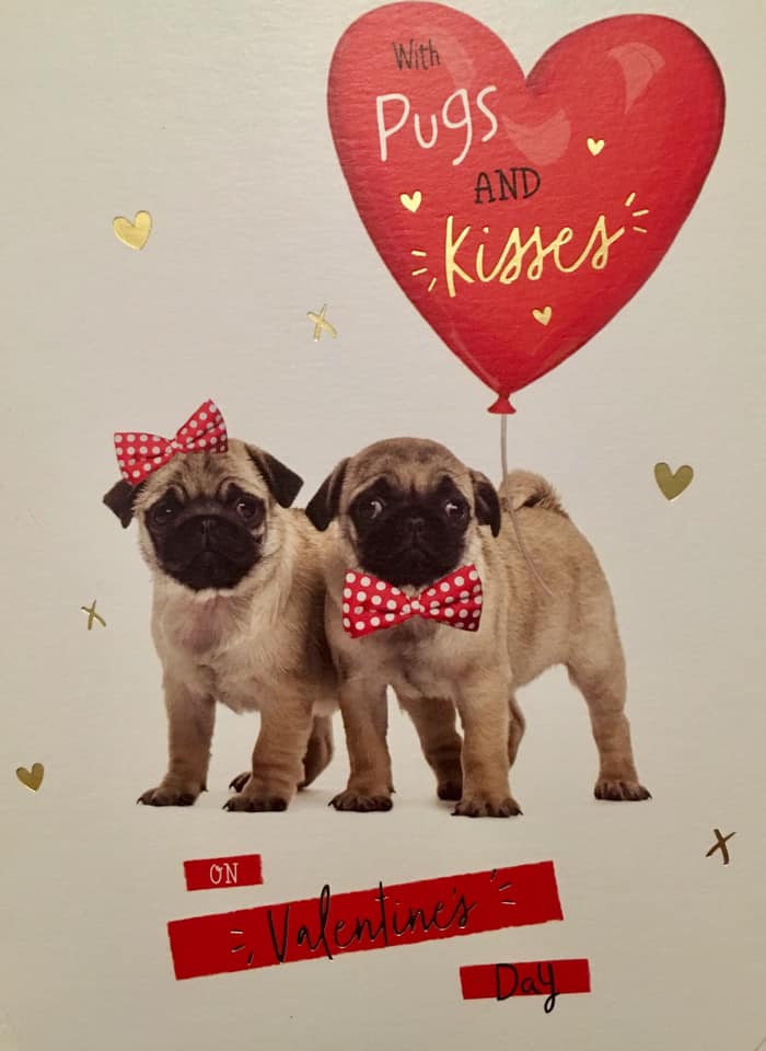 cute-pug-valentines-day-card-i-love-pugs