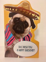 Mexican Pug Birthday Card