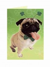 St Patrick’s Pug Card