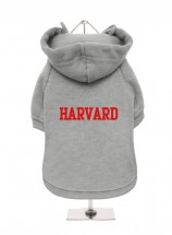 Harvard Fleece Lined Unisex Hoodie  (Available in 2 colours)