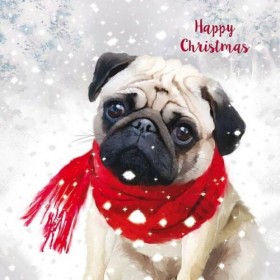 Cute  Pug Christmas Card