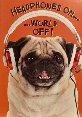 Cute & Funny Pug Birthday Card