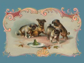 Lovely Vintage Pug Puppies Blank Card