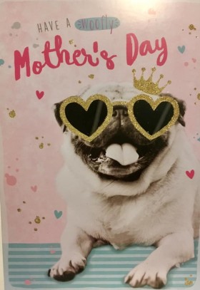 Cute Large Pug Mothers Day Card