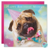 Pug Mummy Birthday Card