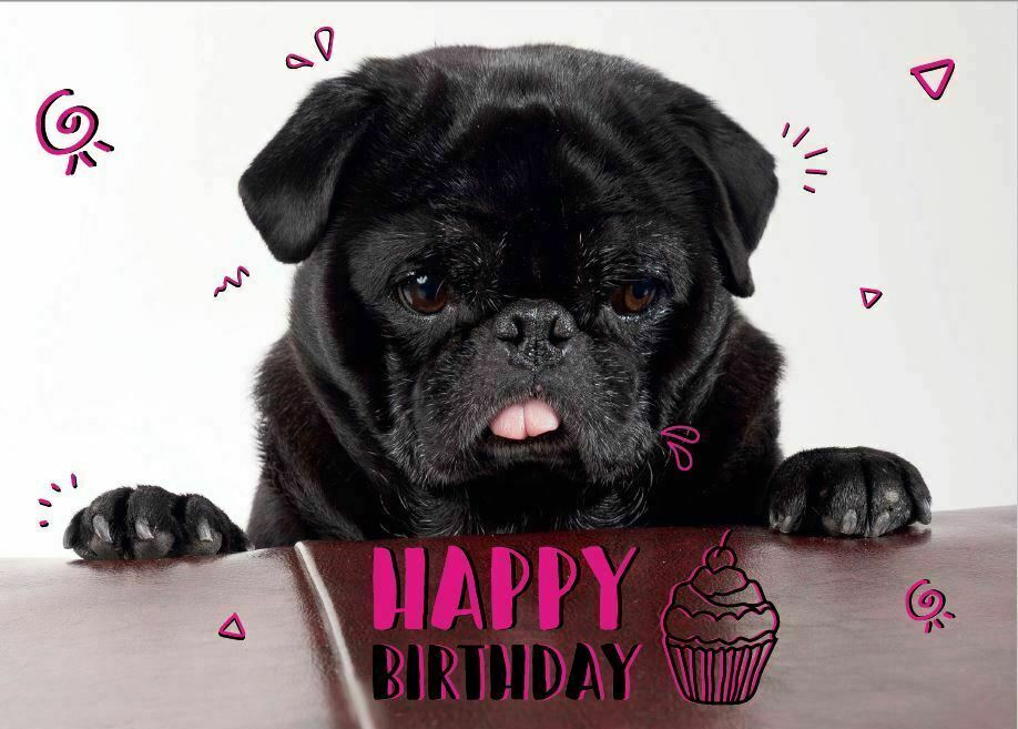 black-pug-happy-birthday-postcard-i-love-pugs