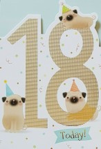 Cute Happy 18th Pug Birthday card