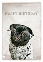 Black Pug Birthday Card