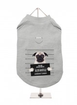 Pug Mug Shot Harness Unisex T Shirt (Available in 7 colours)