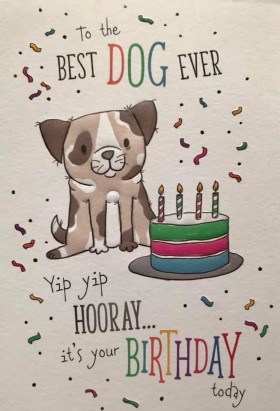 Cute Pug To The Best Dog Ever Birthday Card