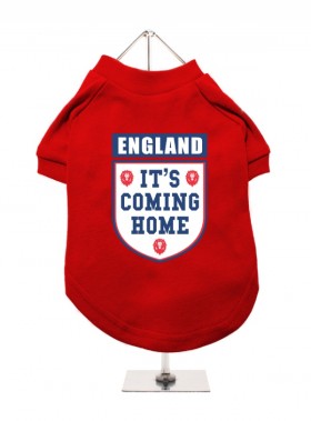 It’s Coming Home Red England Unisex T Shirt