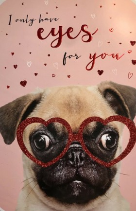 Cute Large Pug Valentines Day Card