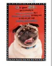 Pop Out Pug 21st Large Birthday Card