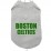 Boston Celtics Unisex T Shirt (Available in 2 colours)
