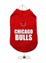 Chicago Bulls Unisex T Shirt (Available in 2 colours)