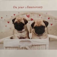 Cute Pug Anniversary Card